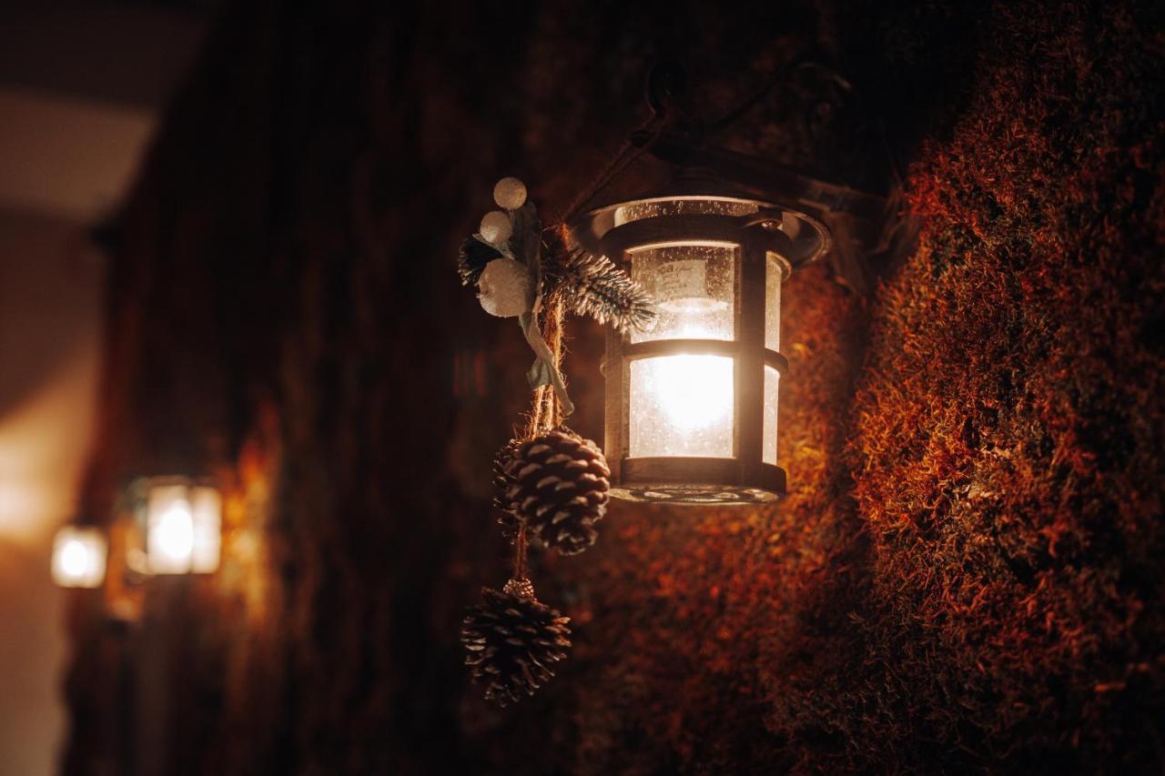 Tree Hotel 코르처 외부 사진